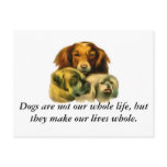 Three Dogs Postcard