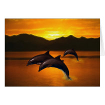 Three dolphins at sunset card
