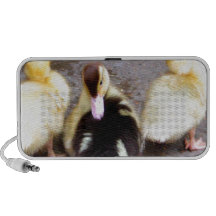 Three ducklings travelling speakers