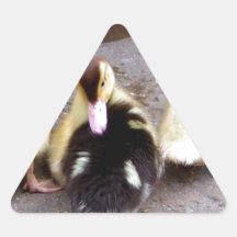 Three ducklings triangle sticker