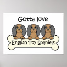 Three English Toy Spaniels Posters