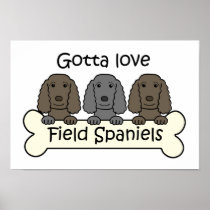 Three Field Spaniels