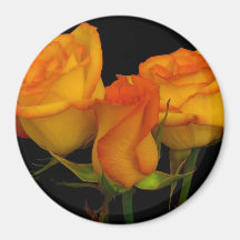 Three Firey Roses Magnet