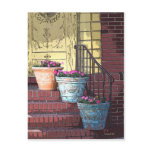 Three Flower Pots Post Card