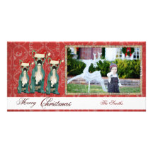 Three French Bulldogs Christmas Photo Card