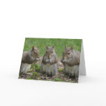Three Friends Gossiping