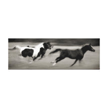 Three Galloping Horses Canvas Prints