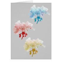 Three Geraniums Greeting Card