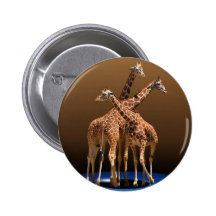 THREE GIRAFFES BUTTON