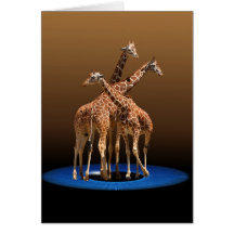 THREE GIRAFFES CARD