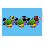 Three Gouldian Finches Cards