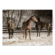 Three Graces Greeting Card