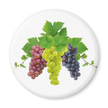 Three grapes magnets