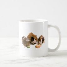 three guinea pigs who eat, tasse à café