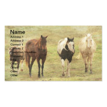 Three Horses and a Pony Business Card Templates