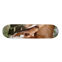 Three Horses Skate Boards