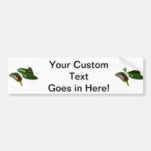 Three Jalapeno Peppers Whole Green and Red colours Bumper Sticker