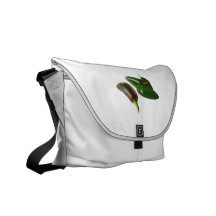 Three Jalapeno Peppers Whole Green and Red colours Courier Bags