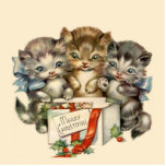 Three Kitties Photo Cut Out