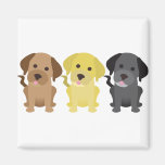 Three Labrador Retrievers Magnet