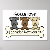 Three Labrador Retrievers Poster