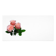 Three Light Pink Roses Customized Photo Card