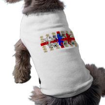 Three Lions football players dog shirts