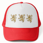Three Lions of England English pride gifts hats