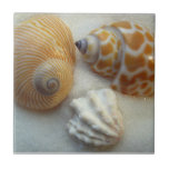 Three Little Beach Shells Ceramic Tile