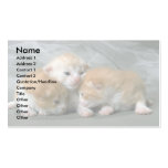 Three Little Kittens Business Cards