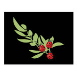 Three Lucky Ladybugs Postcard