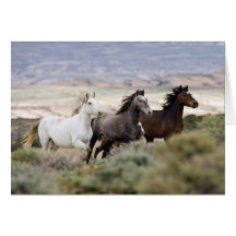 Three Mares Running Wild Horse Greeting Card