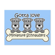 Three Miniature Schnauzers Postcards