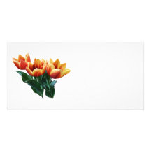 Three Orange and Red Tulips Customized Photo Card