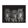 three owls postcard