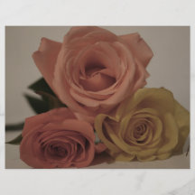 three pale roses Coloured in vintage shades Flyer Design