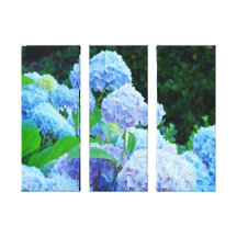 Three Panel Floral nature Canvas prints Hydrangeas