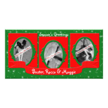 Three Pet Holiday Personalized Photo Card