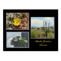 three photos from Apache Junction Arizona postcard