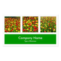 Three Photos Plus One - Grass Green Business Card Templates