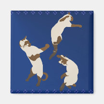 Three Playful Siamese Magnet
