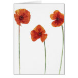 Three Poppy's Greeting Card