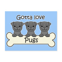 Three Pugs Postcard