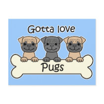 Three Pugs