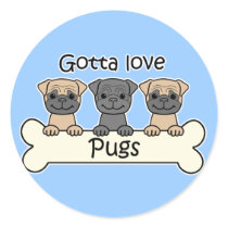 Three Pugs