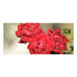 Three red roses and a bee custom rack card