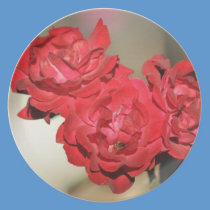 Three red roses and a bee plates