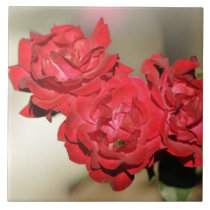 Three red roses and a bee tiles