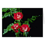 Three red roses with white horizontal water glass greeting cards