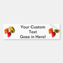Three Scotch Bonnet Peppers Red Orange Yellow Pic Bumper Stickers